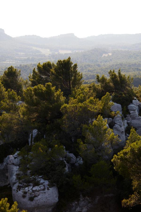 Le Mas Angelou Maussane-les-Alpilles Exteriér fotografie