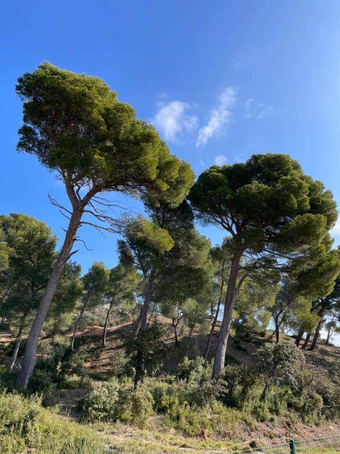 Le Mas Angelou Maussane-les-Alpilles Exteriér fotografie