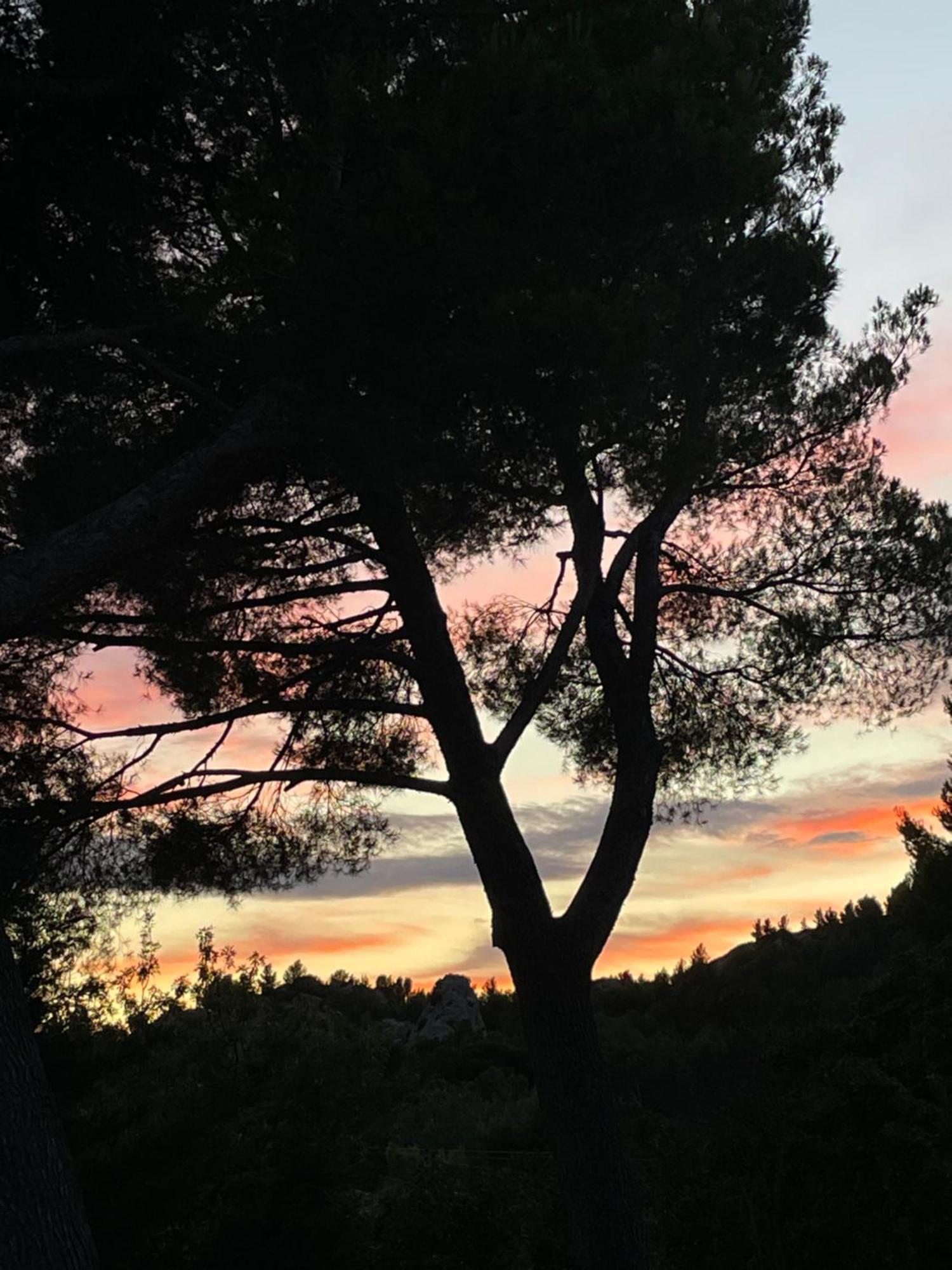 Le Mas Angelou Maussane-les-Alpilles Exteriér fotografie